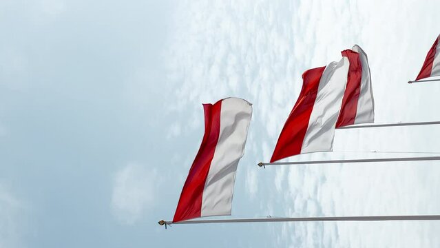 Flags of principality of Monaco in the wind at sunny weather, the port of Hercules, Monte-Carlo