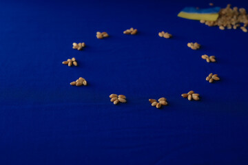 Wheat grains. Blue background. European Union Flag Concept. Metaphorical view on banning Ukrainian grain imports to EU.