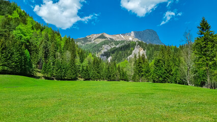 Lush green alpine meadow and forest with panoramic view of majestic mountain peak Foelzstein and...