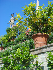 Beautiful view of the garden on a summer day. Stresa. Italy.