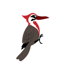 Vector illustration of cartoon woodpecker isolated on white background