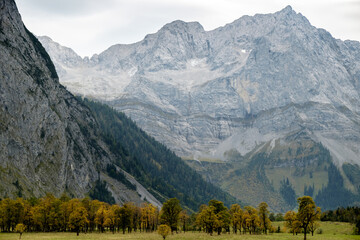 Herbstlandschaft im Karwendelgebirge mit Bergahorn