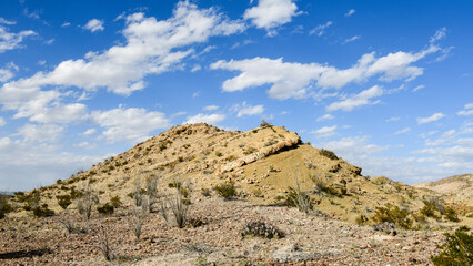 Big Bend National Park, Texas