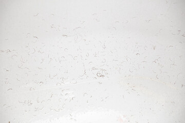 shaved hair from the intimate areas of the pubic area after shaving and depilation remaining on the walls of the bathroom sink, close-up texture - obrazy, fototapety, plakaty