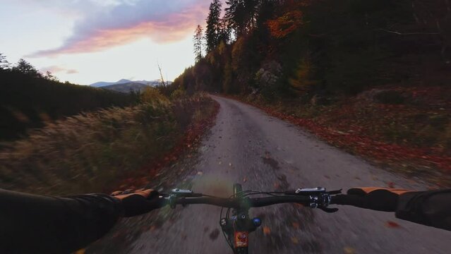 Fast MTB bike ride in the autumn forest at dusk. Downhill mountain biking on the road.POV