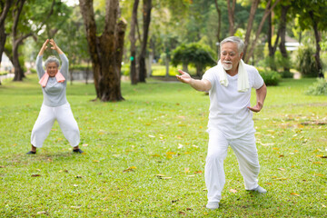 asian senior couple workout and practice tai chi in the park