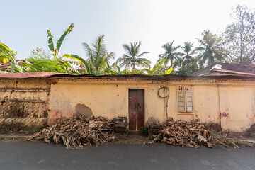 Firewood piled outside an old house surrounded by palm trees in the Goan town of Madgaon.