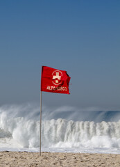 Lifeguard flag on the beach on a big waves day