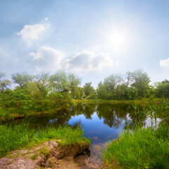 calm summer river with forest on coast at the sunny day