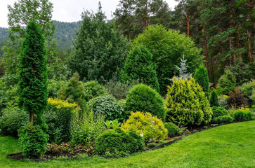Fototapeta na wymiar Cozy corner of summer garden in mountain where mixed different deciduous and coniferous plants