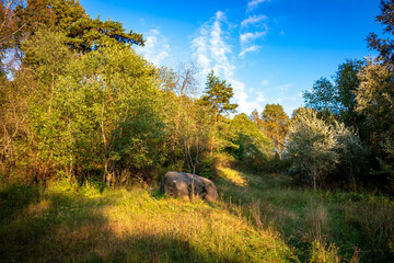 A large boulder near the village of Malomakhovo, Borovskiy district, Russia