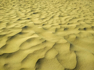 Sand surface with curves and small dunes close-up. A natural natural line and pattern that changes all the time and moves in space