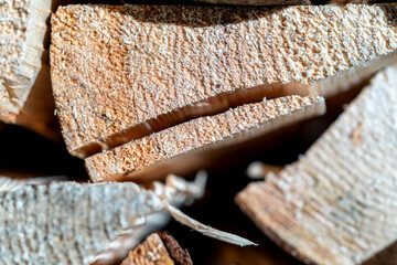 Close-up of freshly chopped firewood