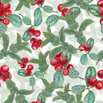 Seamless pattern with Lingonberries and mint sprigs. Peppermint, forest ripe berries. Fragrant greens and juicy red cranberry. Watercolor illustration isolated on white. For textile, print, package