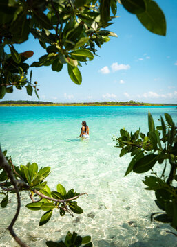 Chica joven en traje de ba&ntilde;o de vacaciones dentro de la laguna de bacalar en marco natural de plantas