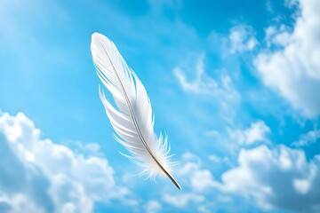 white feather on blue sky background