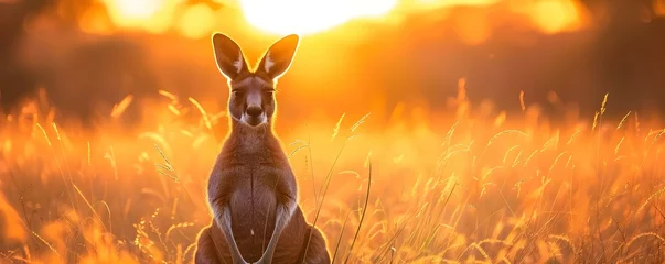 Schilderijen op glas Silhouette of kangaroo in golden sunset showcasing the beauty of wildlife. Concept Wildlife Photography, Golden Sunset, Silhouette, Kangaroo, Natural Beauty © Ян Заболотний