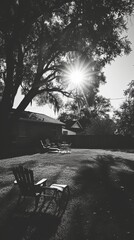 Black and white photo of the backyard of a country house