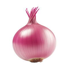 Fresh red onion isolated on transparent or white background, png