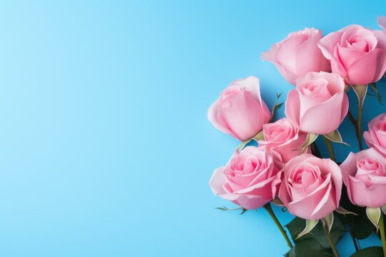 Pink roses blue background bush. Life flower. Generate Ai