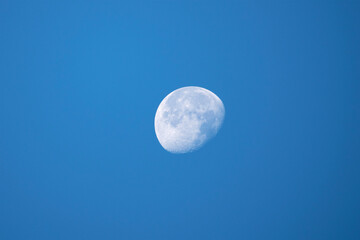 Close up white moon in the evening blue sky.
