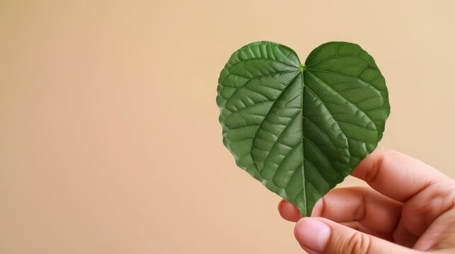 Generative AI, hand holding green heart shape leaf, renewable and sustainable resources concept