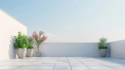 Empty outdoor terrace with potted plants with a view of the sky