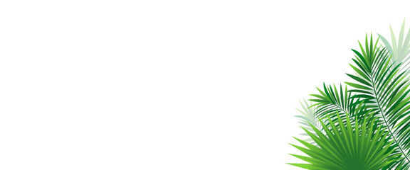 Amazon rainforest border frame with exotic jungle plants, coconut palm leaves and place for text. Green tropical foliage vector background. tropic banner design for travel, vacations card and posters © nataliesezam