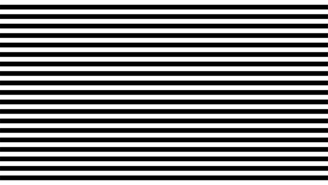 Fototapeta Black and white monochrome horizontal stripes pattern. Simple design for background. Uniform lines in contrasting tones creating visual rhythm and balance. Optical illusion. Vector,