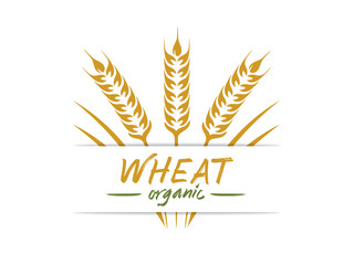 Agricultural Wheat Logo Template Symbol Design - High Definition Image