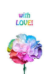 A vibrant, rainbow colored carnation with the heartfelt words With Love displayed prominently.
