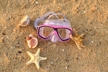 New swimming mask, starfishes and seashells on sand