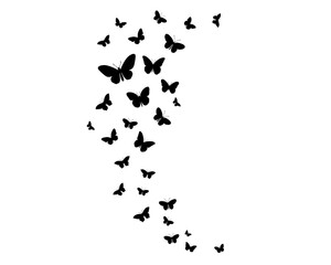 butterflies black hand drawn
