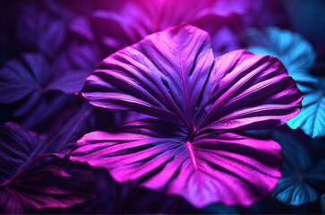 purple tree leaf background, abstract purple background, tropical leaf