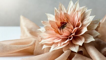 autumn romance vintage flower made of silk fabric develops in the wind muted beige tones on a white background peach fuzz color