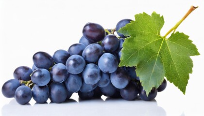 blue grapes bunch with leaf isolated on white background