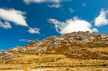 Falkland Islands landscape on a way to the  Volunteer Point