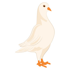 Cute white dove Peace symbol Vector illustration