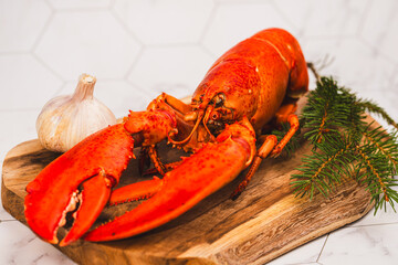 Red lobster on marble background, top view of the lobster mouth 