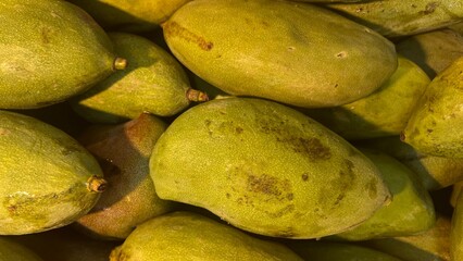 Green Mango in horizontal orientated background image; fruit as on display at a market