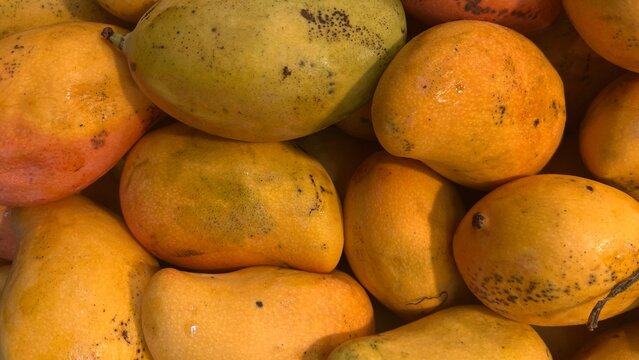 Ripe golden mangos in horizontally oriented background image; fruit on display at market