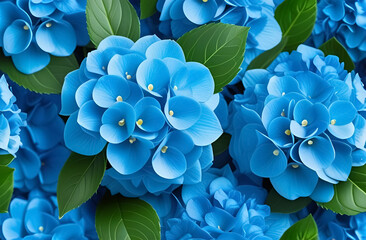 Blue hydrangea flowers as a background. Floral pattern