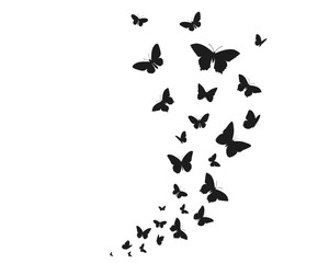 silhouette of butterflies