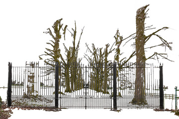 Closed Iron gate and driveway with trees in winter