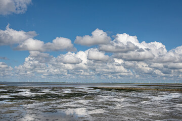 Wattenmeer Schleswig-Holstein