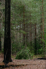 A lonely hut on a hill by the lake.