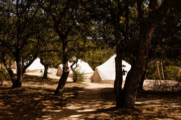 Des tipis dans la forêt pour un moment insolite © lorabarra