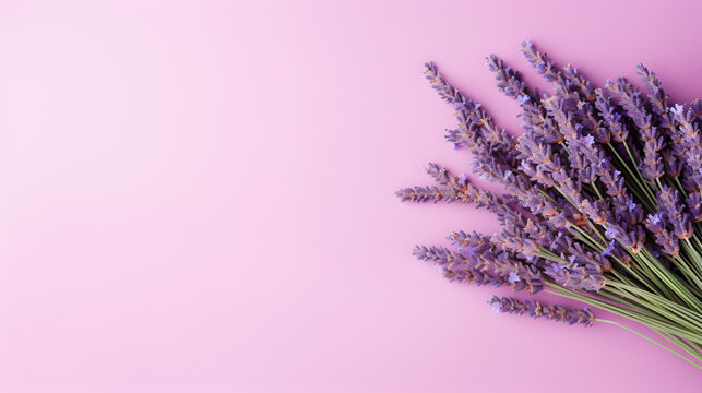bunch of lavender flowers on light violet paste colored background