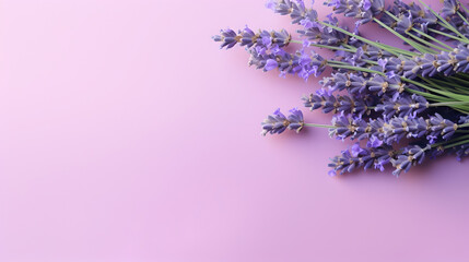 lavender herb bundle on pastel violet background