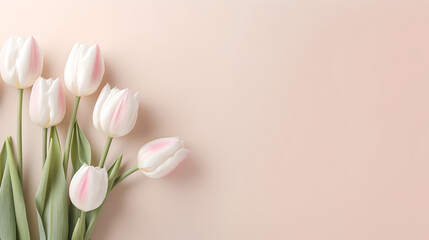 bouquet of white tulips on side of pastel light brown sand colored pastel background